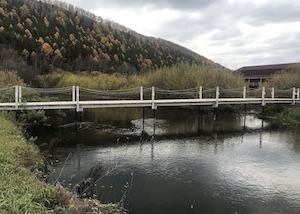 Мосты над речками